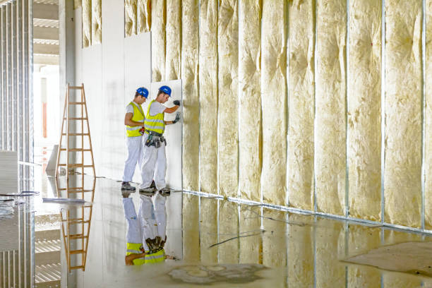 Best Commercial Insulation in Clifton, AZ